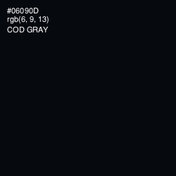 #06090D - Cod Gray Color Image